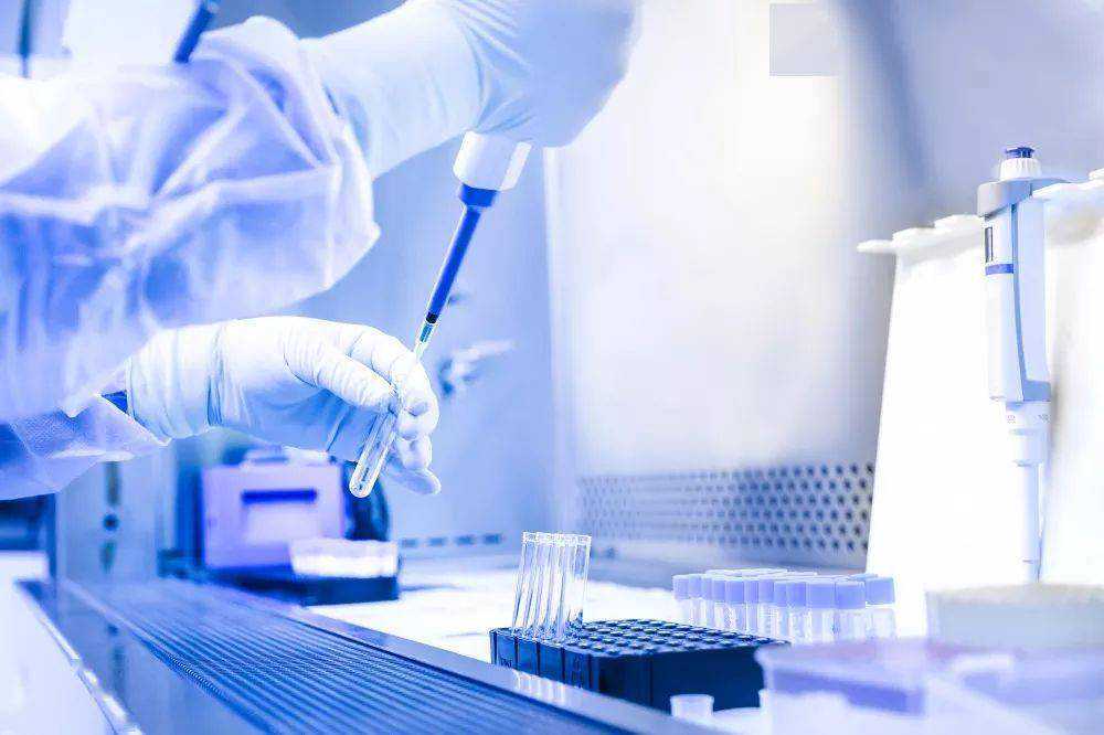 《细胞—干细胞》| 小鼠-人类NC嵌合体中NB的形成