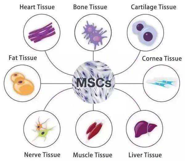 空气污染不用怕 4种药包帮你化险为夷