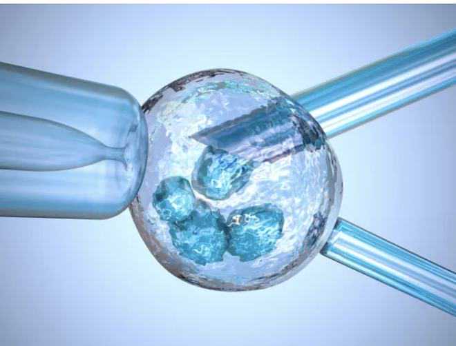 一只俄罗斯代购的好物推荐